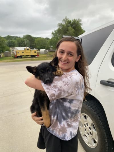 Reine, a German Shepherd puppy from Pawrade