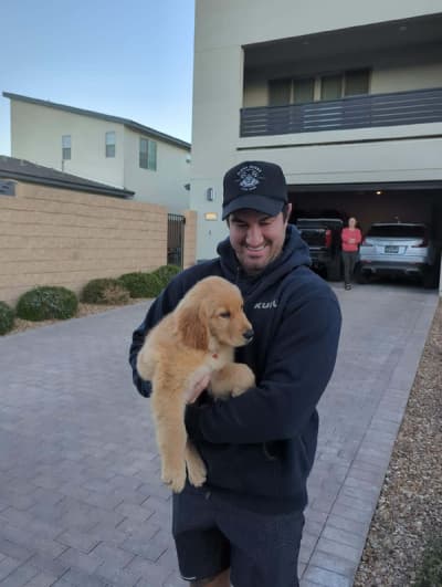 James, a Golden Retriever puppy from Pawrade