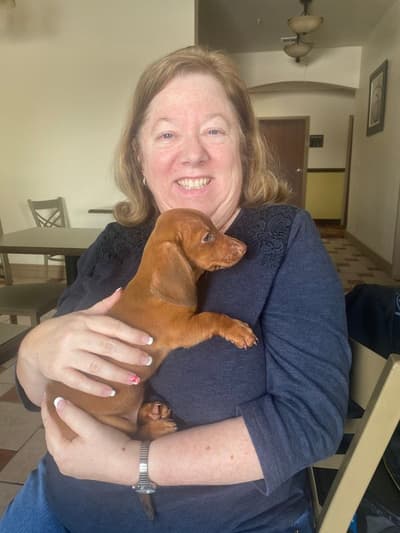 Mamie, a Dachshund, Mini puppy from Pawrade