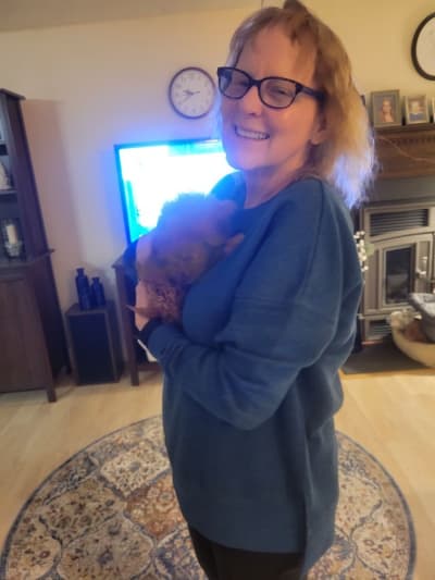 Lacey, a Cavapoo puppy from Pawrade