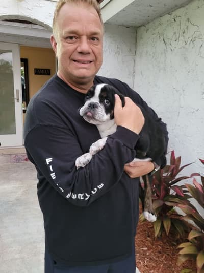 Theo, a Beabull puppy from Pawrade