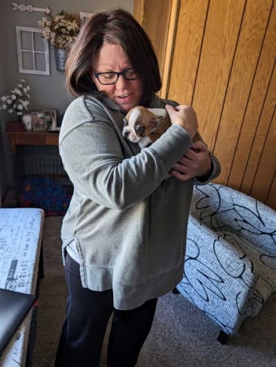 Paisley, a Boston Terrier puppy from Pawrade