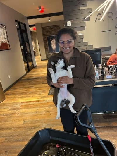 Gozen, a Shiba Inu puppy from Pawrade