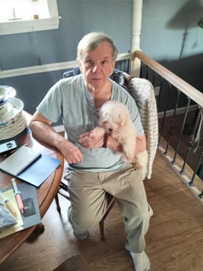 Aaron, a Malti Poo - Maltipoo puppy from Pawrade