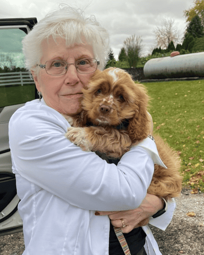 Ashley, a Cocker Spaniel puppy from Pawrade