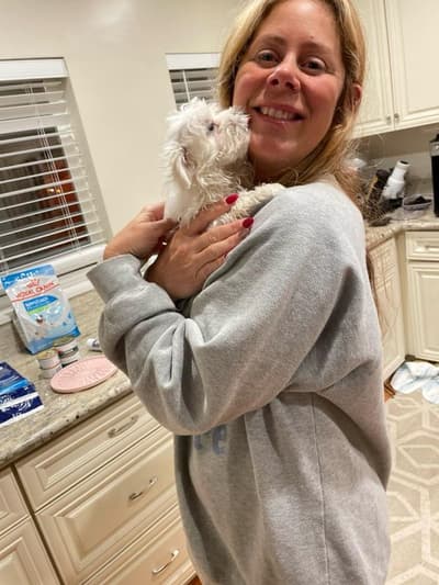 Kaylee, a Maltese puppy from Pawrade