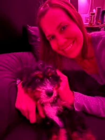Loretta, a Bernedoodle, Mini puppy from Pawrade