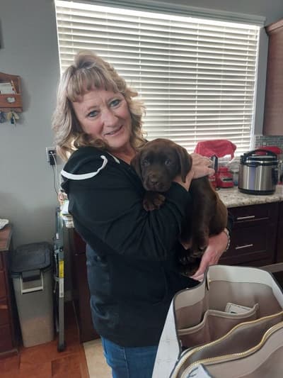 Hudson, a Labrador Retriever puppy from Pawrade