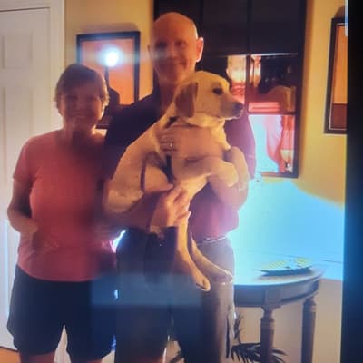 Violet, a Labrador Retriever puppy from Pawrade