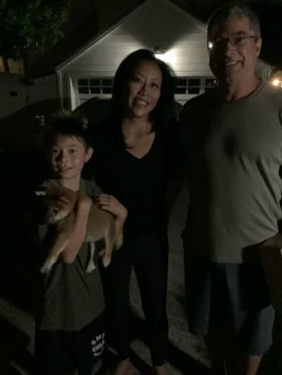 Oscar, a Shiba Inu puppy from Pawrade