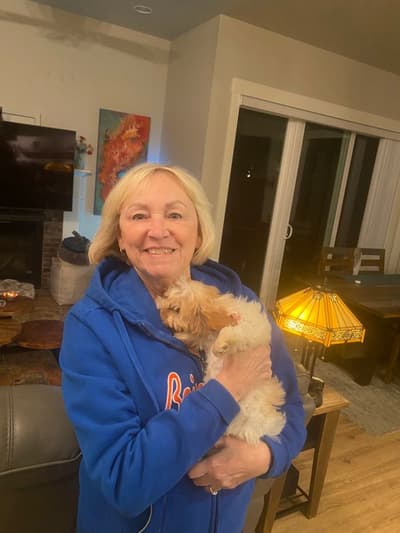 Jessica, a Cavapoo puppy from Pawrade