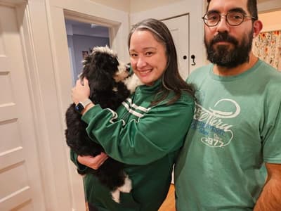 Hoss, a Bernedoodle puppy from Pawrade