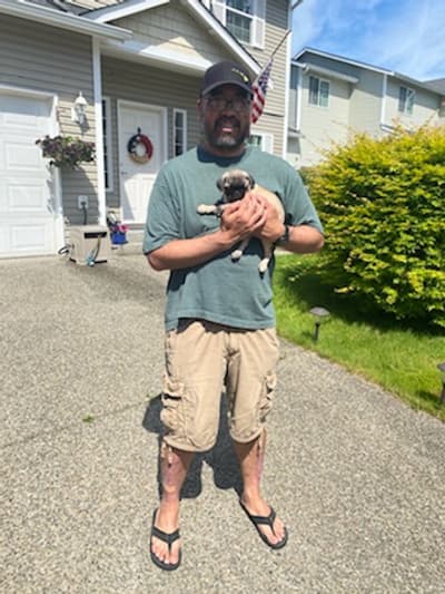 Angie, a Pug puppy from Pawrade