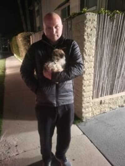 Maverick, a Havanese puppy from Pawrade