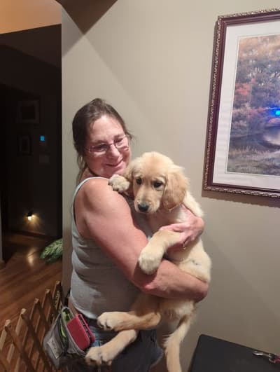 Alana, a Golden Retriever puppy from Pawrade