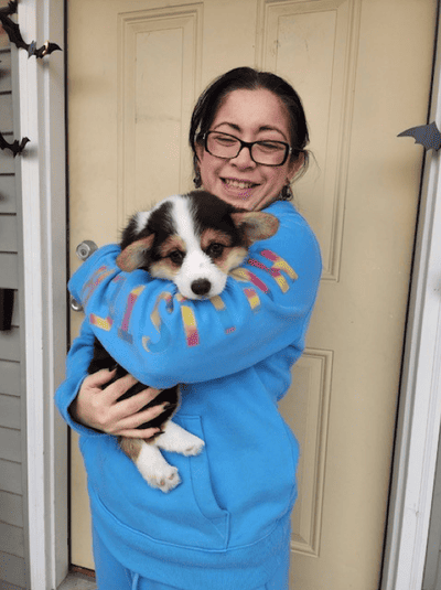 Lorenzo, a Corgi, Pembroke Welsh puppy from Pawrade