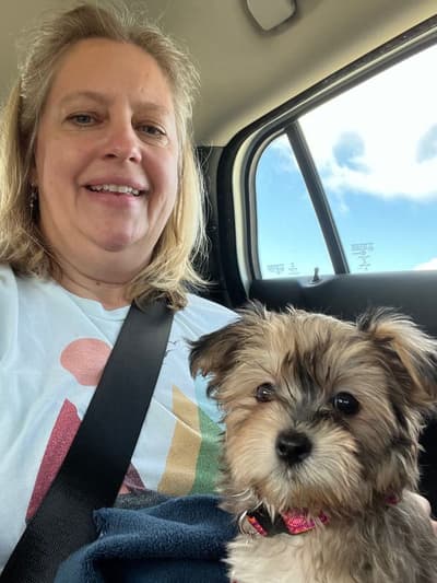 Cherish, a Morkie / Yorktese puppy from Pawrade