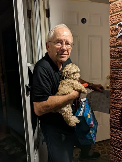 Mica, a Shih-Poo - Shihpoo puppy from Pawrade