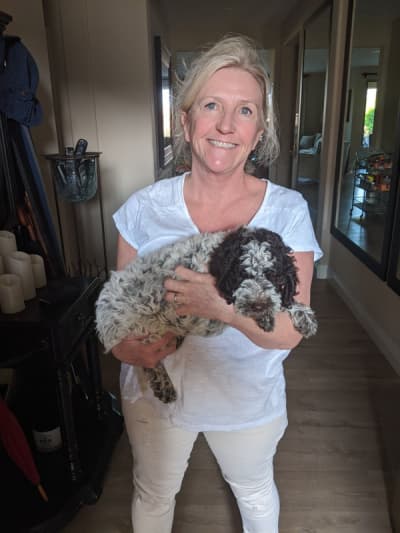 Lagatto, a Lagotto Romagnolo puppy from Pawrade