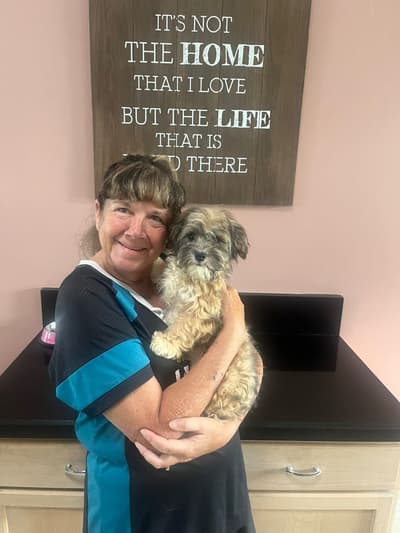 Vanessa, a Havanese puppy from Pawrade