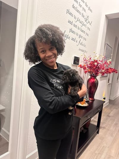 Milo, a Yorkiepoo - Yorkie Poo puppy from Pawrade