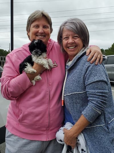 Maggie, a Malti Poo - Maltipoo puppy from Pawrade