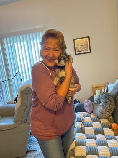 Maeve, a Schnauzer, Miniature puppy from Pawrade