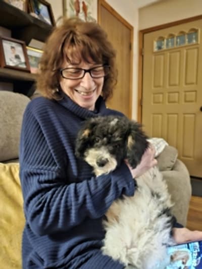 Dustin, a Poodle, Toy puppy from Pawrade