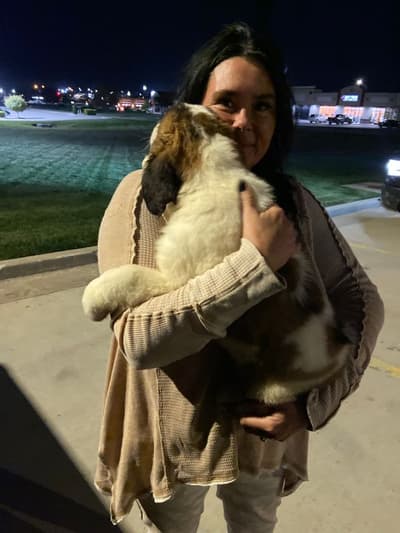 Hope, a Saint Bernard - St. Bernard puppy from Pawrade