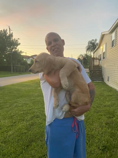 Beckett, a Golden Retriever puppy from Pawrade