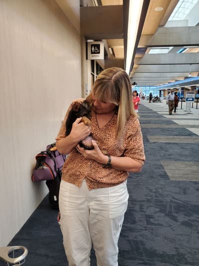 Mallie, a Yorkshire Terrier - Yorkie puppy from Pawrade