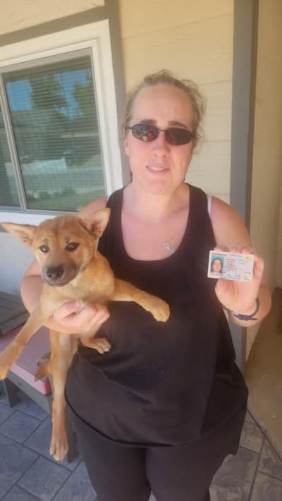 Mizu, a Shiba Inu puppy from Pawrade