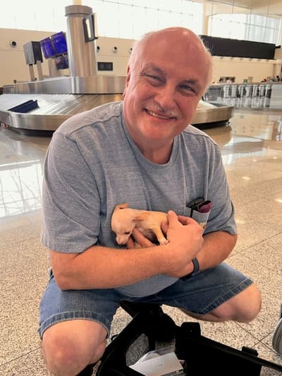 Shandy, a Chihuahua puppy from Pawrade
