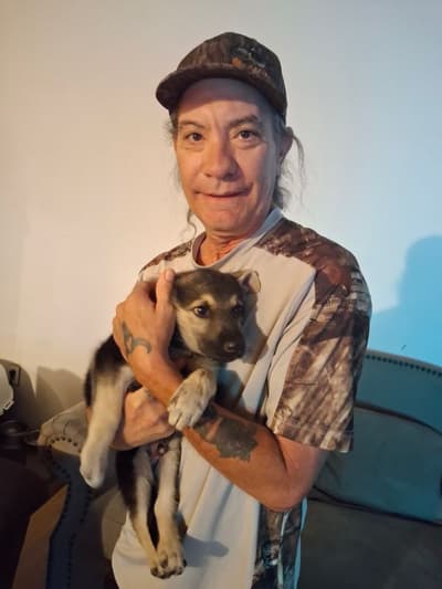 Presley, a German Shepherd puppy from Pawrade