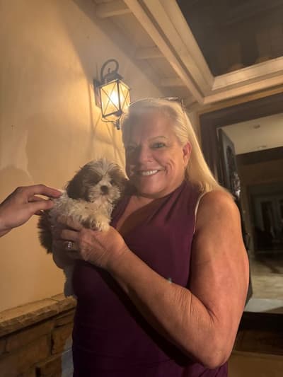 Sally, a Shih Tzu puppy from Pawrade