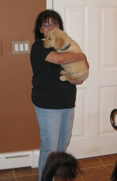 Mack, a Golden Retriever puppy from Pawrade