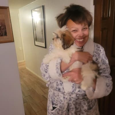 James, a Lhasa Apso puppy from Pawrade