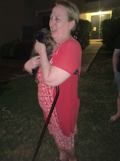 Layla, a Poodle, Toy puppy from Pawrade