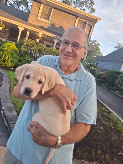 Cleo, a Labrador Retriever puppy from Pawrade