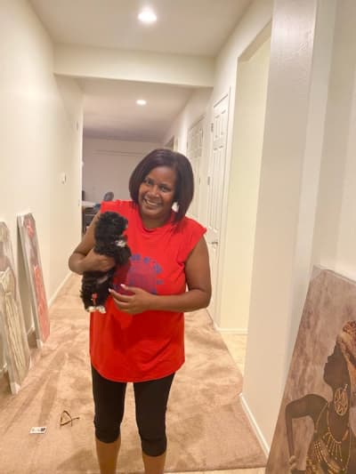 Slate, a Poodle, Toy puppy from Pawrade