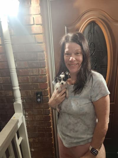 Bonnie, a Chihuahua puppy from Pawrade