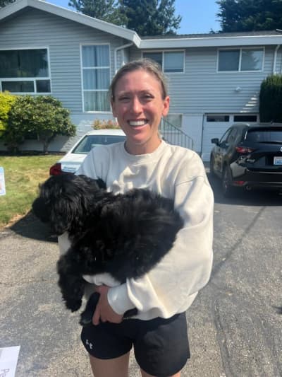 Rio, a Bernedoodle, Mini puppy from Pawrade