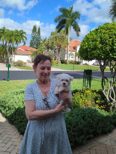 Varden, a Maltese puppy from Pawrade