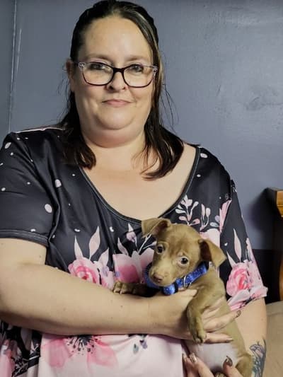 Charlie, a Chihuahua puppy from Pawrade