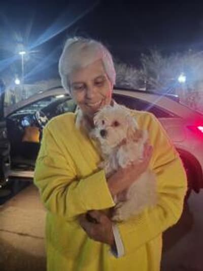 Bristol, a Malti Poo - Maltipoo puppy from Pawrade