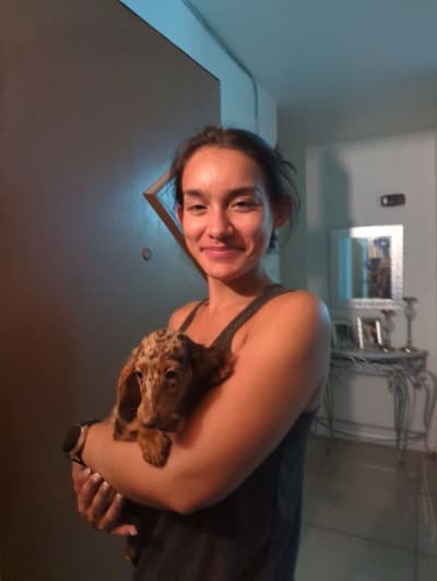 Beth, a Dachshund, Mini puppy from Pawrade