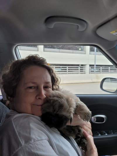 Coda, a Shih Tzu puppy from Pawrade