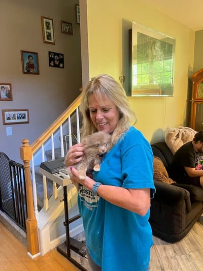 Rebecca, a Pomeranian puppy from Pawrade