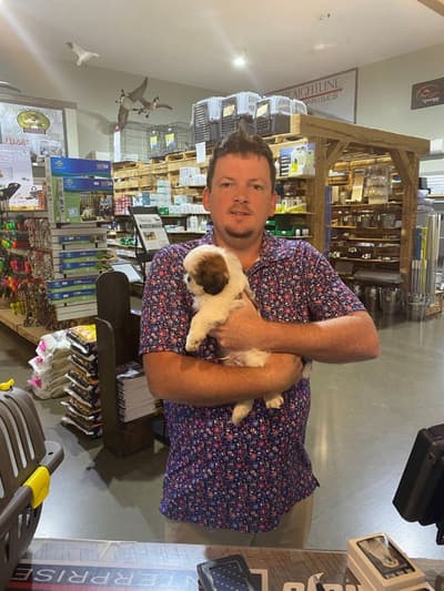 Felix, a Shih Tzu puppy from Pawrade