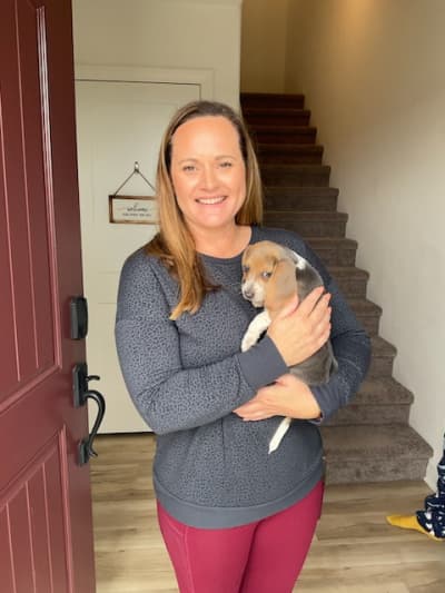 Lemon, a Beagle puppy from Pawrade